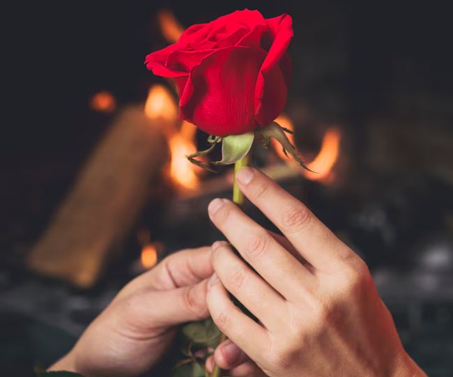 rose day significance