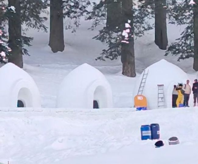 Igloo Manali