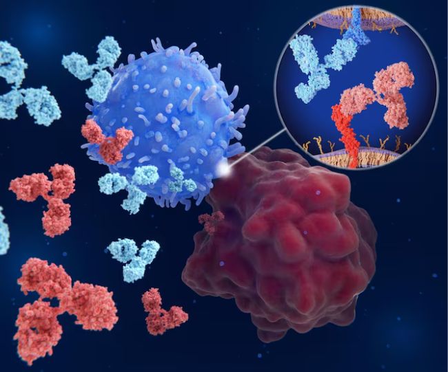 Why body cannot fight cancer