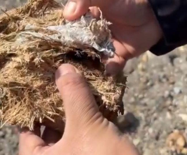plastic in elephants dung