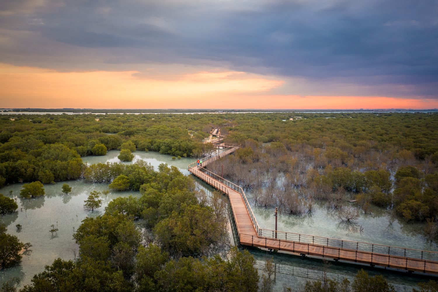 Jubail Mangroves Park-1