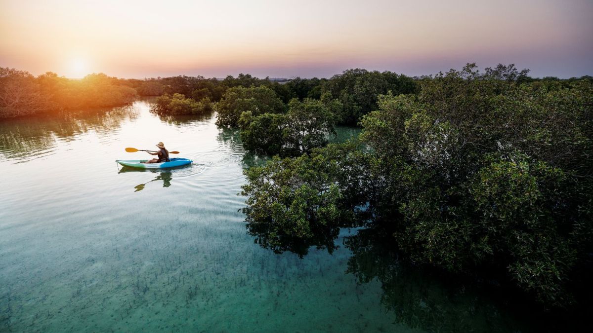Mangrove National Park