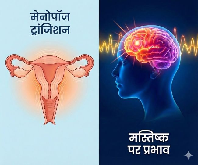 Menopause And Your Brain