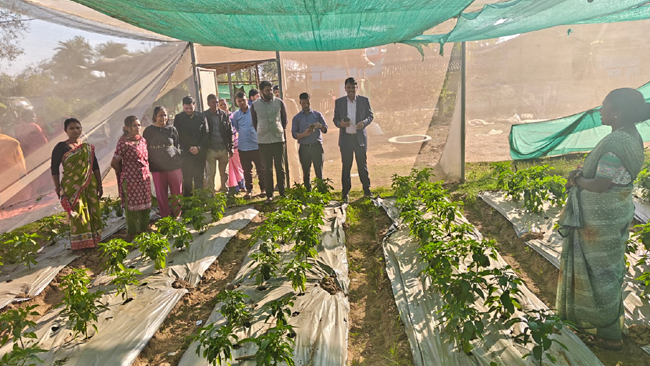 banka billgates praises tribal women horticulture success