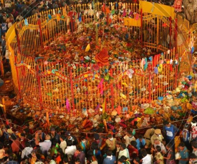 Telangana Tribal Festival