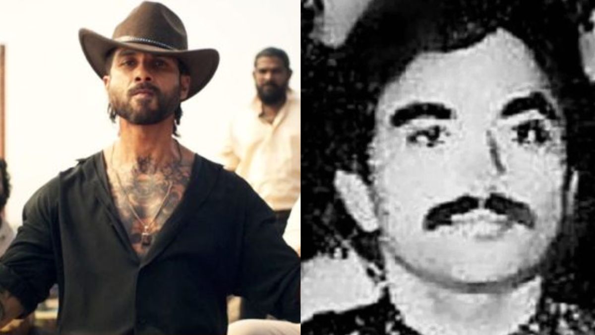 shahid kapoor (1)