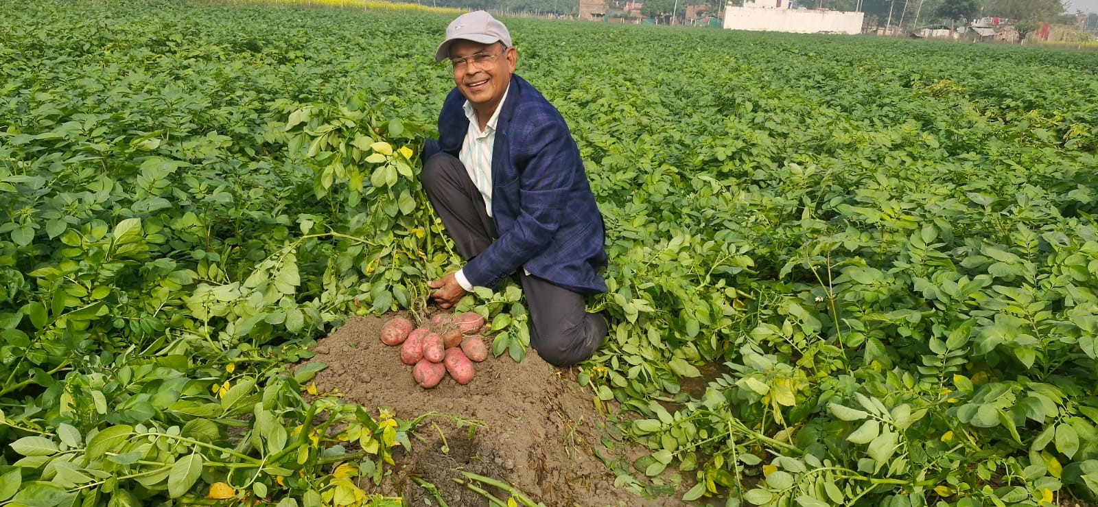 C-447-1-LKO1447-461389