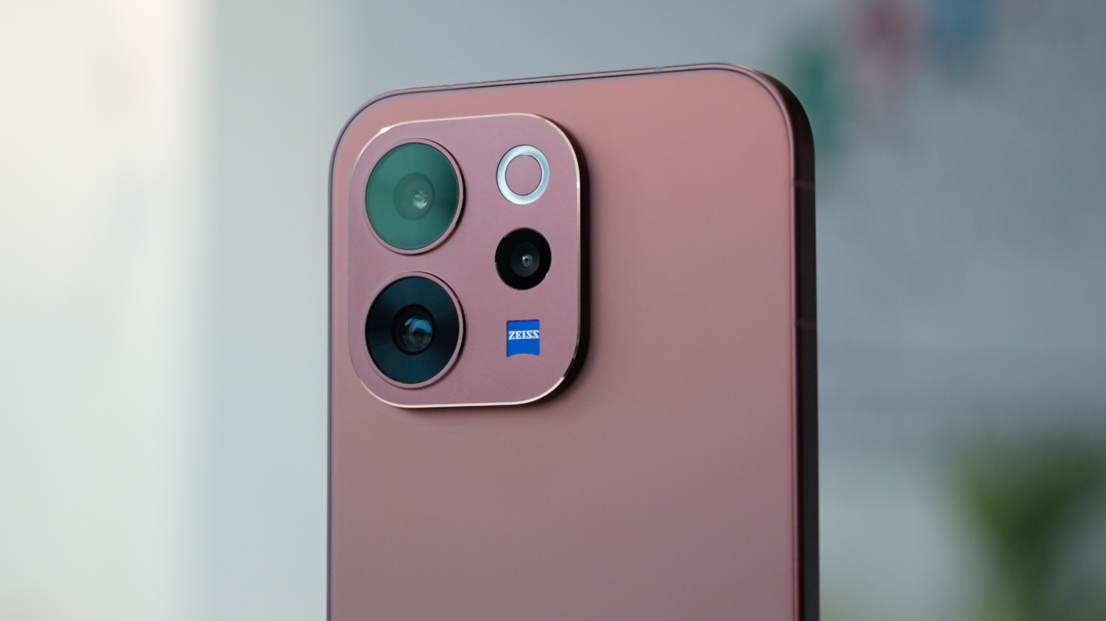 Screenshot 2026-02-19 at 1.00.16 PM (1)