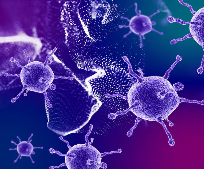 Immune system research