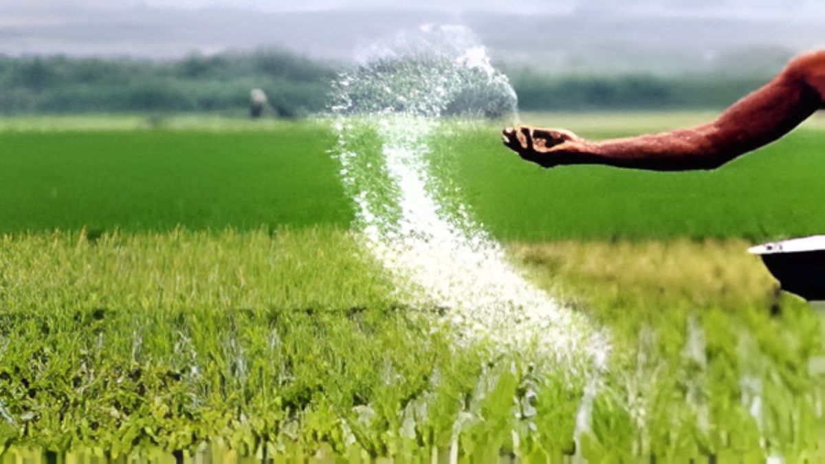 Home delivery of fertilizer will be done at home (2)