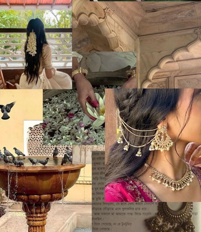 Desi Aesthetics