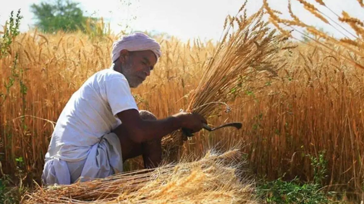 Wheat surplus India (2)