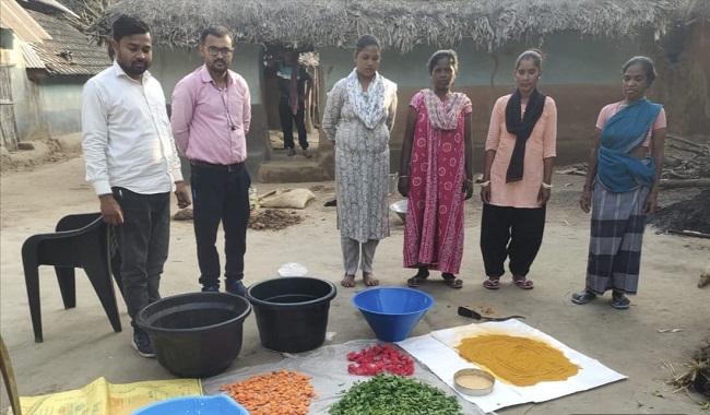 Palash Brand Herbal Gulal