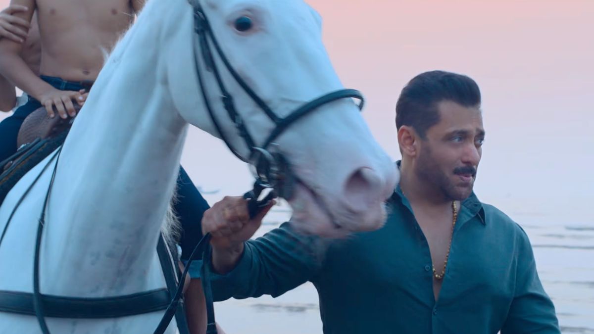 salmankhan (6)