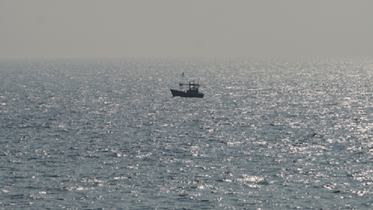 New Project - 2026-03-04T195600.369