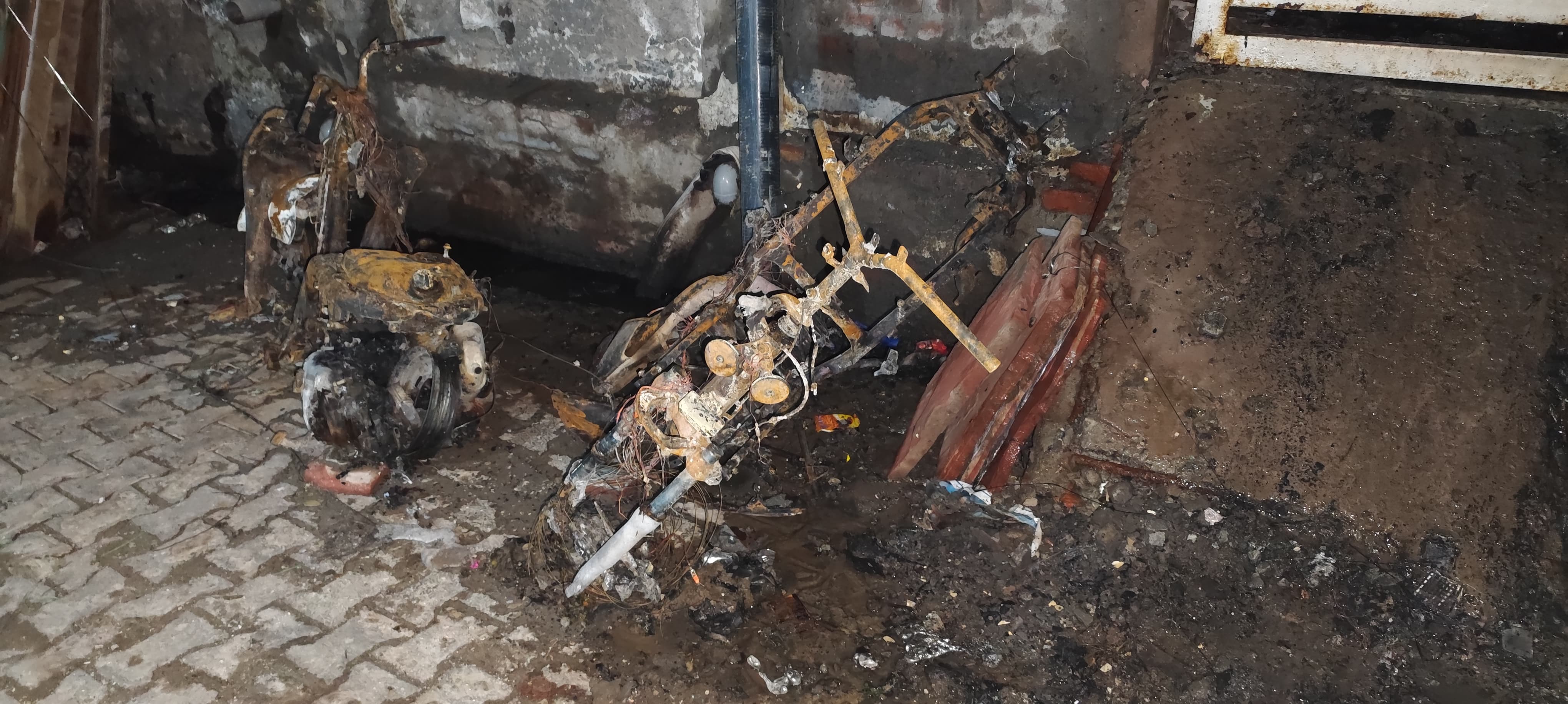 WhatsApp Image 2026-03-04 at 02.15.24