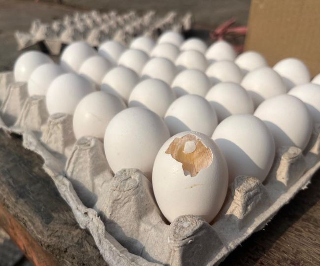 dm raids godown in Roorkee