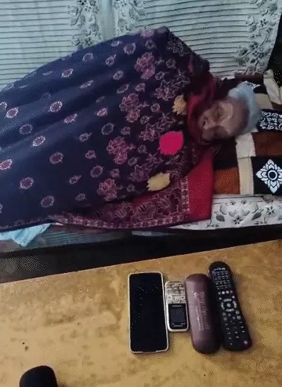bahan