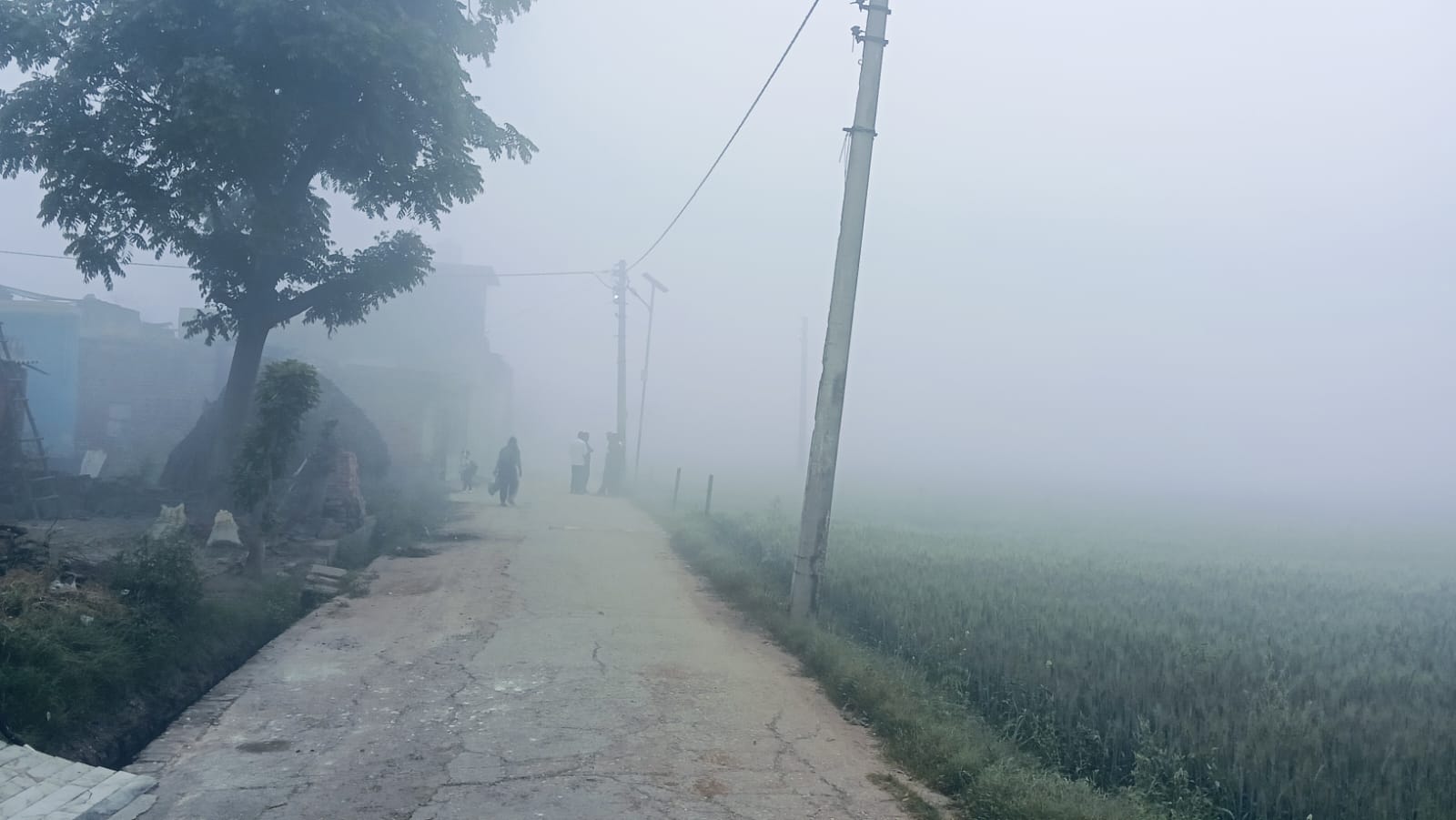 WhatsApp Image 2026-03-10 at 8.15.21 AM