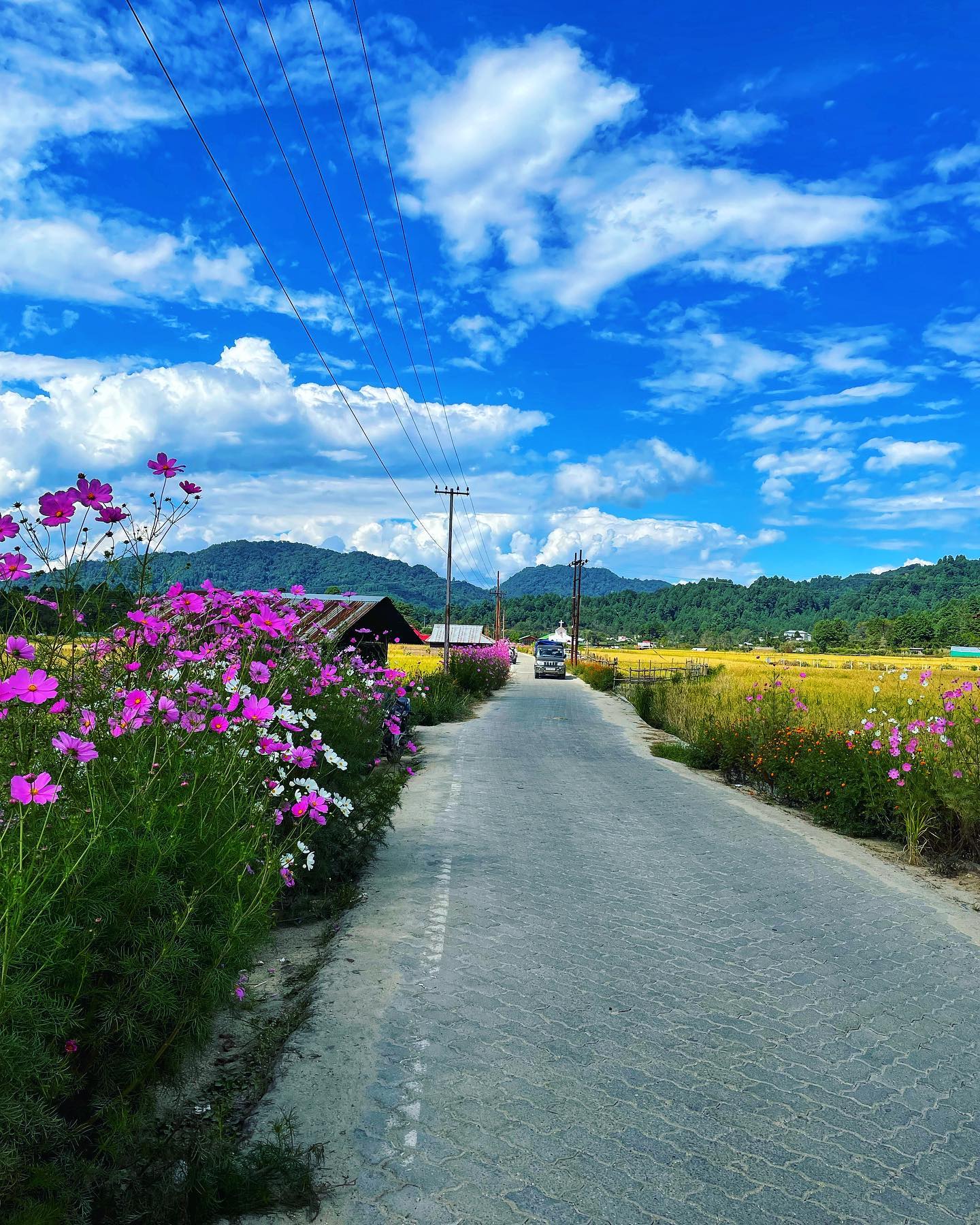 Arunachal Pradesh Ziro Valley