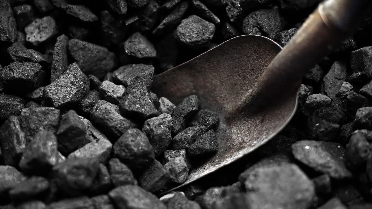 COAL