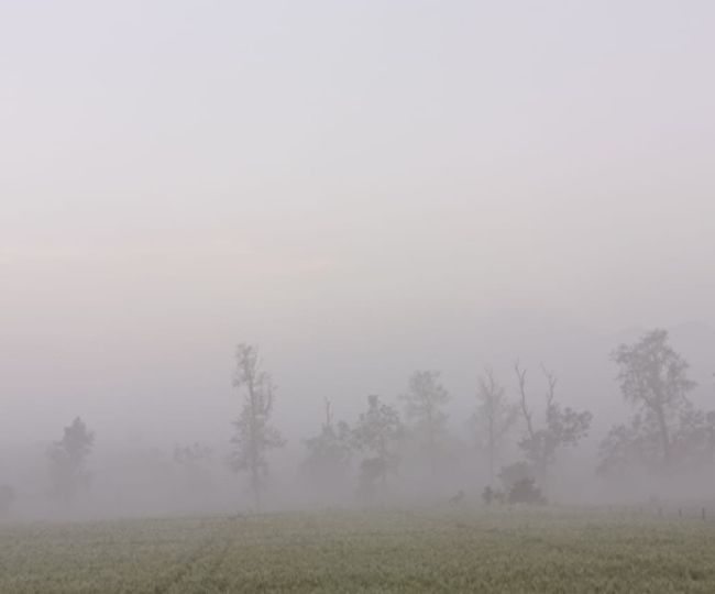 vikasnagar Weather Today
