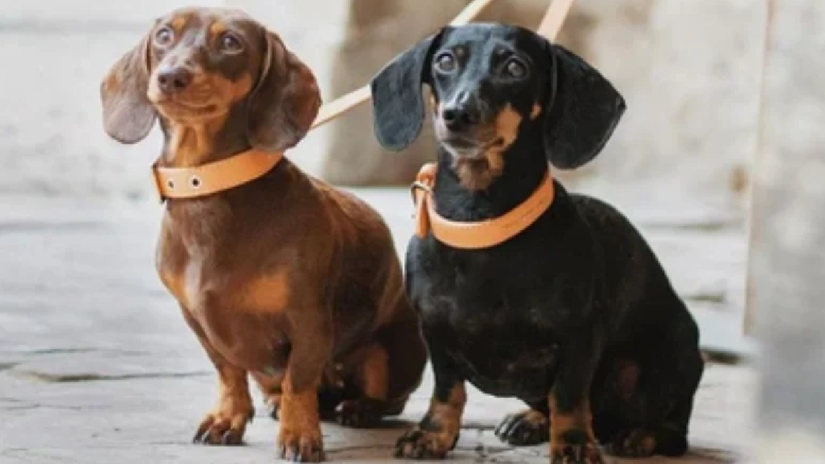 New Project - 2026-03-12T222658.570