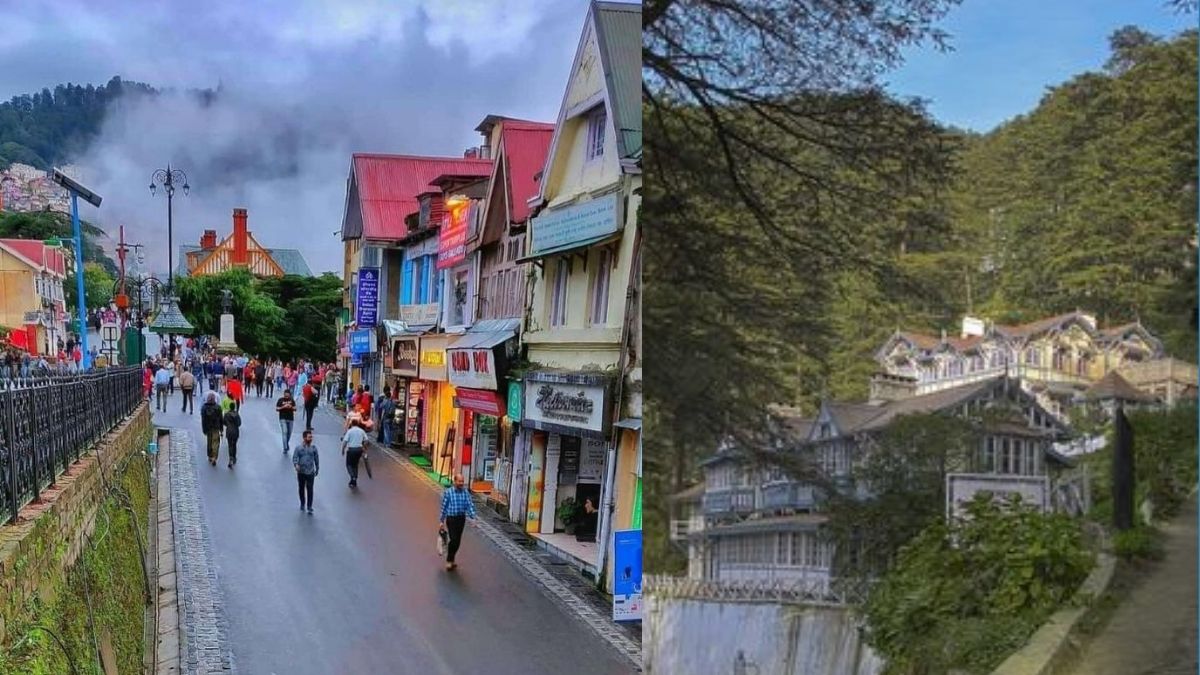 Shimla