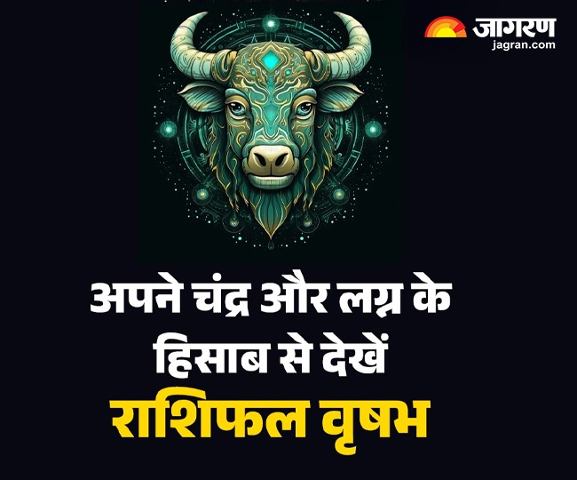 WhatsApp Image 2026-01-31 at 4.37.20 PM (1)