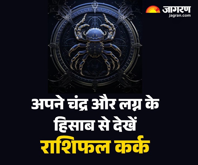 WhatsApp Image 2026-01-31 at 4.37.21 PM (1)