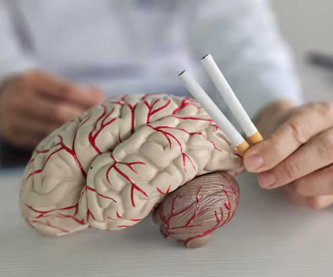 Impact of smoking on brain