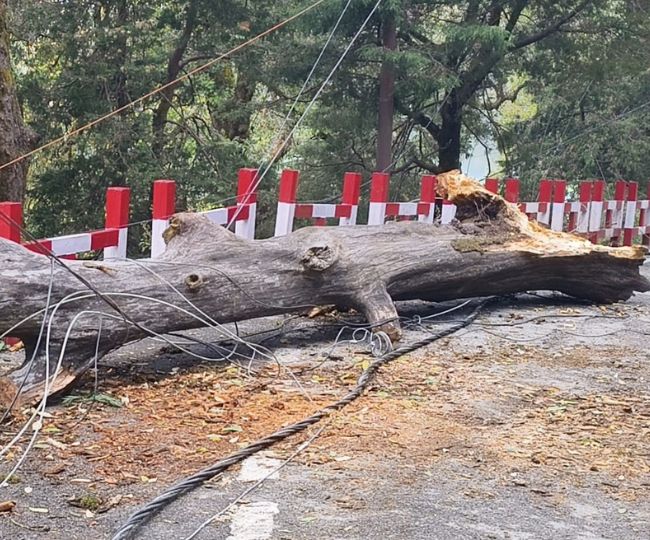 Nainital Rain