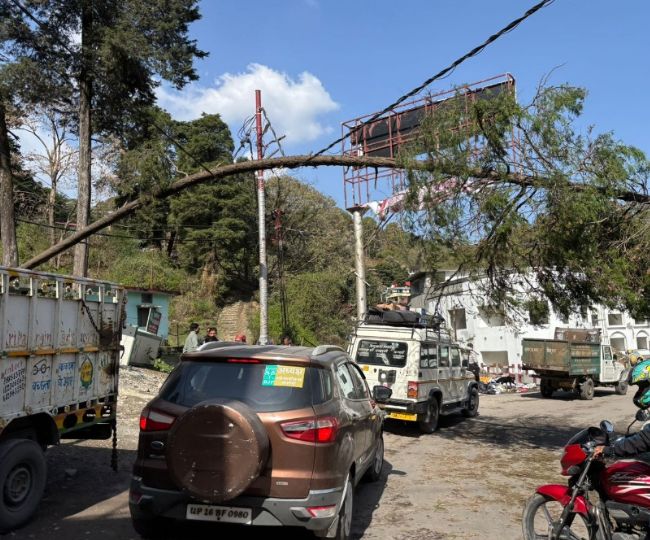 Tree Fall On Electric Line