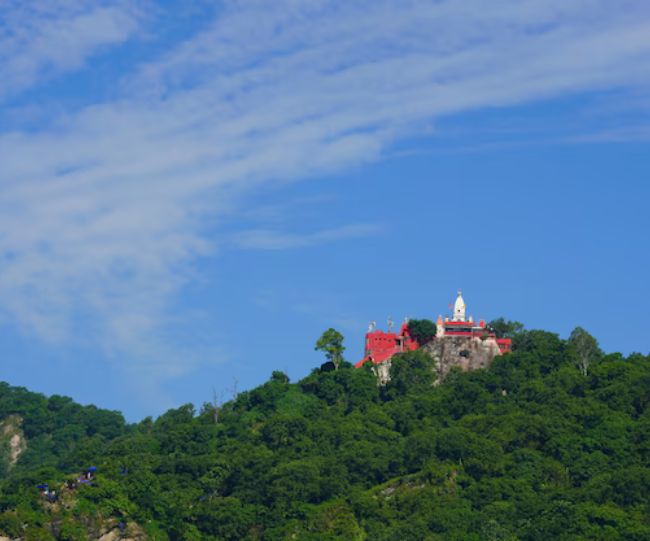 Mansa Devi