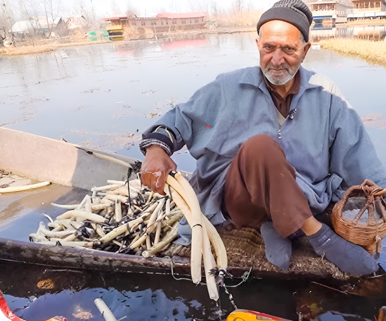 KAMAL_KAKRI