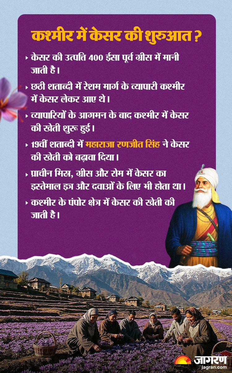 KESAR_AGRICULTURE