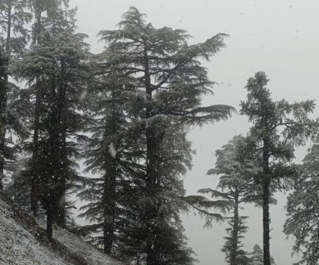 Today Snowfall in Chakrata