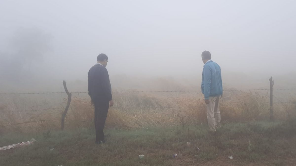 fogg (7)