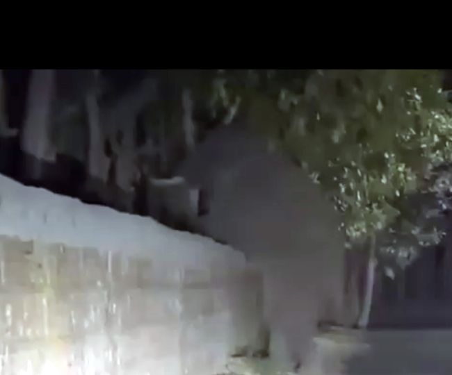 Elephants crossing wall in Kotdwar