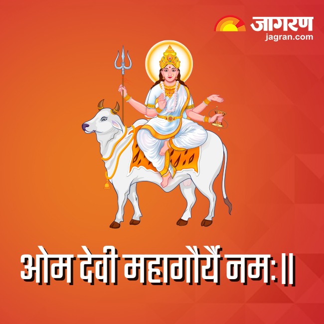WhatsApp Image 2023-10-21 at 9_15_41 AM