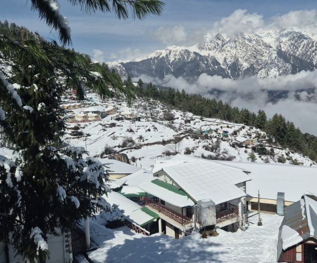 Auli