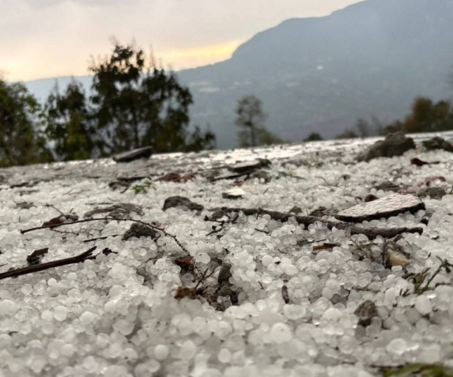 rain-(1)-(1)-1774174243334