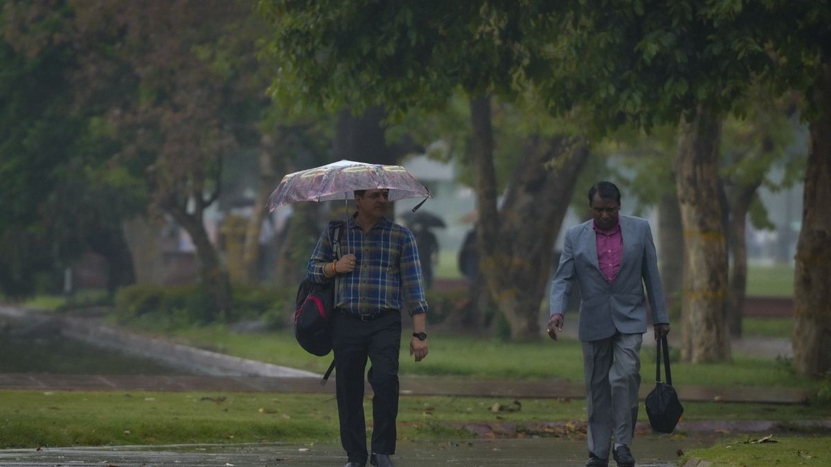 rain pti (1)