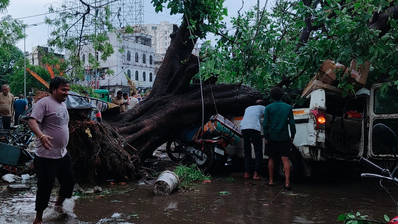 WhatsApp Image 2026-04-04 at 17.21.40 (1)