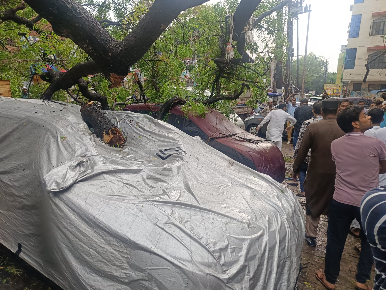 WhatsApp Image 2026-04-04 at 17.35.48 (1)