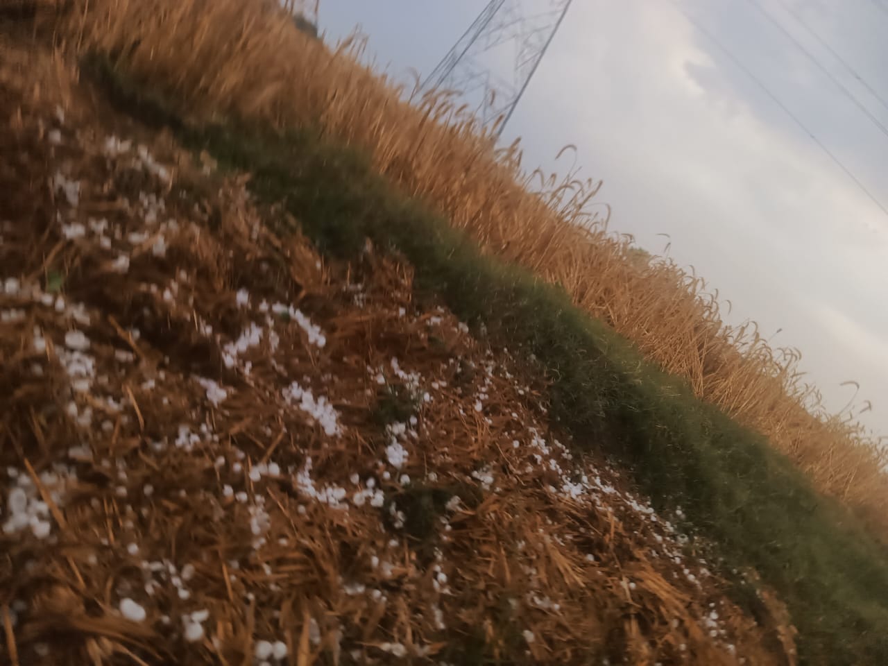 Kanpur storm news WhatsApp Image 2026-04-04 at 18.02.20