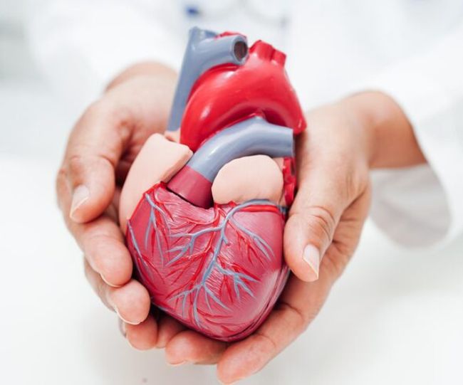 Cardiovascular health