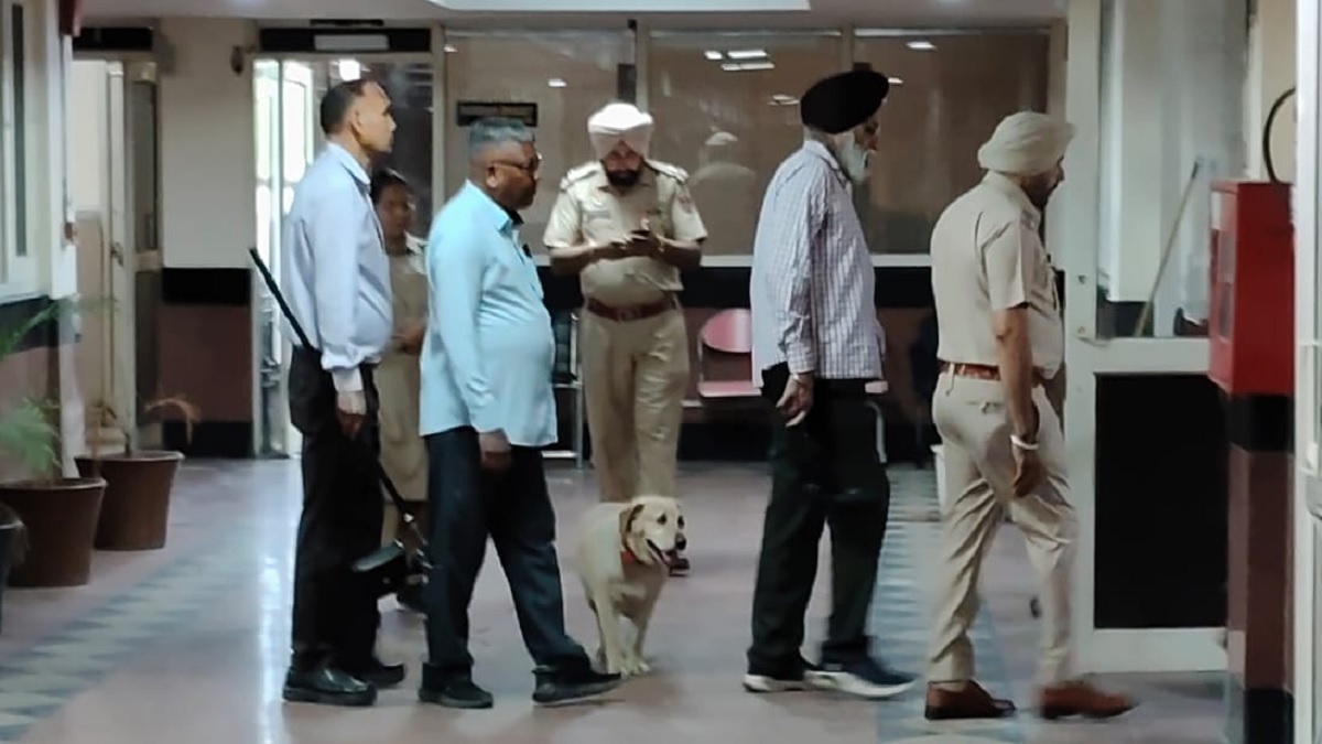 jal dog squad