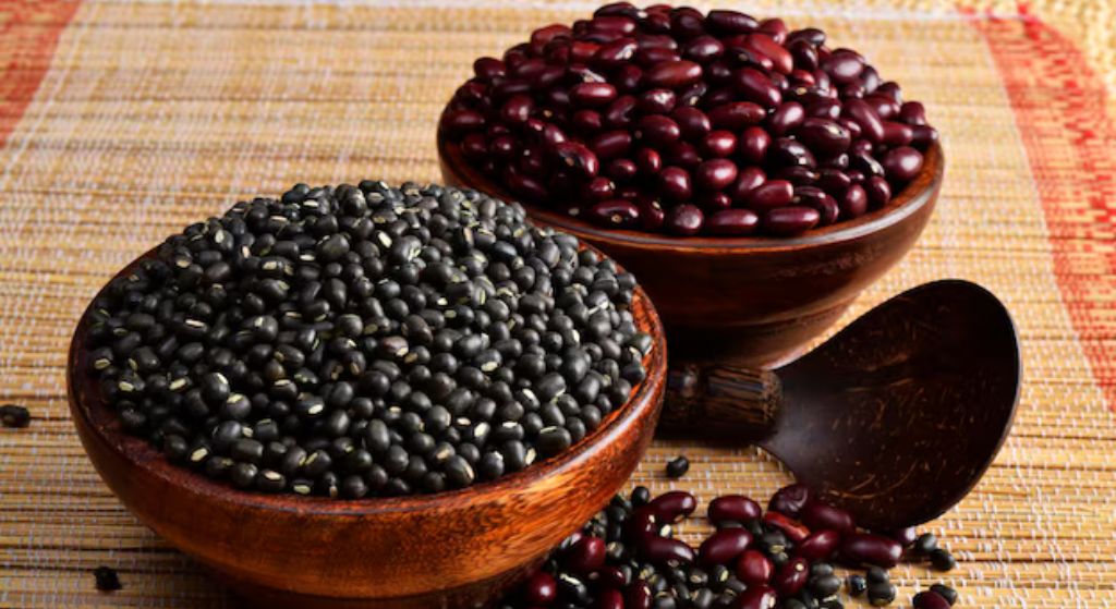 Lentils and Kidney Beans