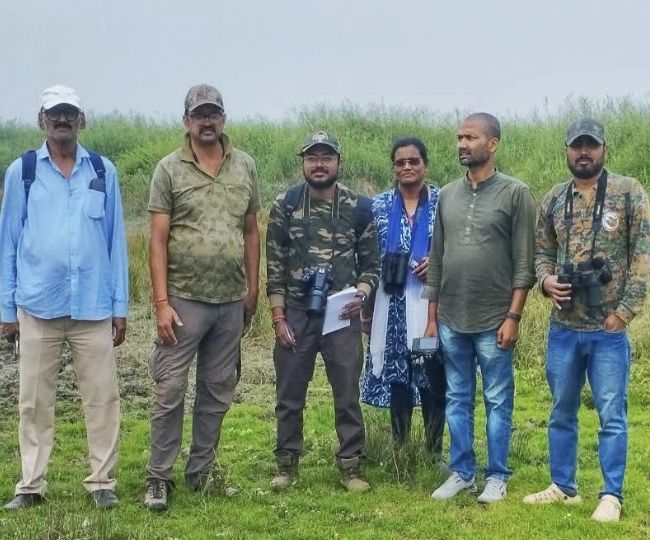 ghatora wetland migratory birds return summer species arrive9